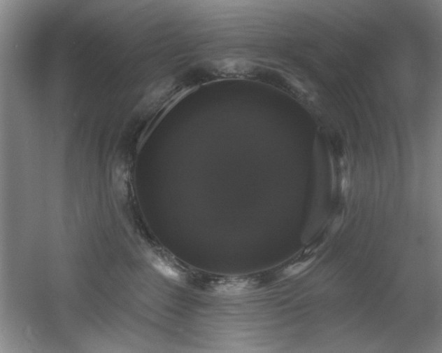 X0000060790235200511101427