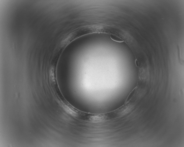 X0000060790238200511101427