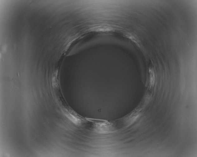 X0000060790239200511101427