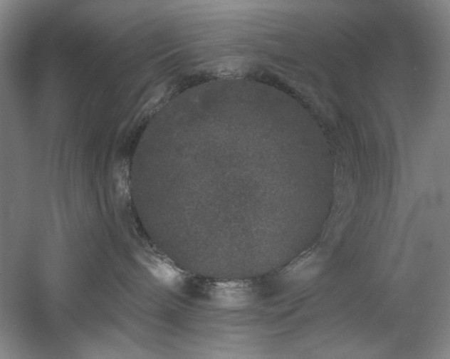 X0000060790240200511101427