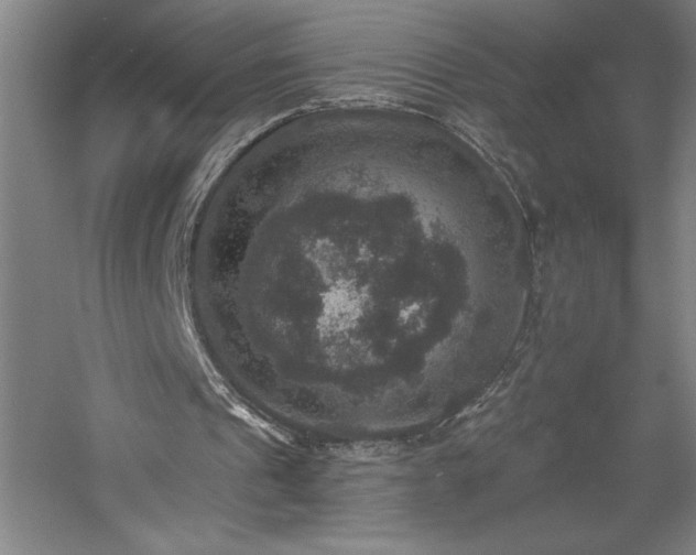 X0000060790241200511101426