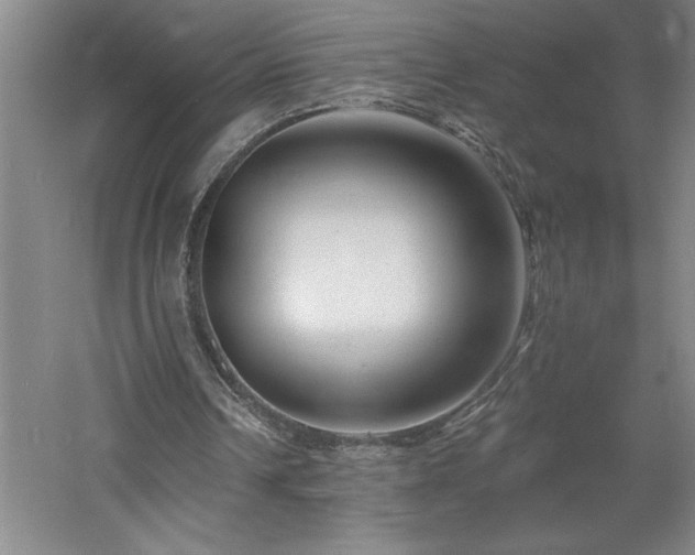 X0000060790242200511101426