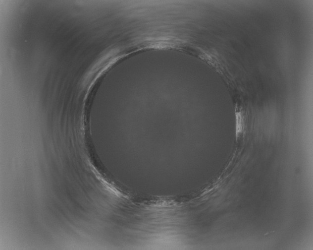 X0000060790243200511101426