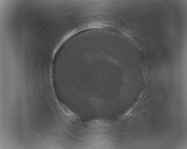 X0000060790244200511101426