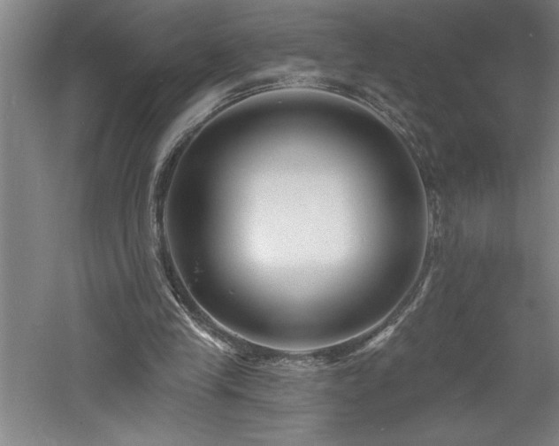 X0000060790245200511101426