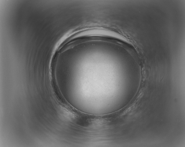 X0000060790246200511101426