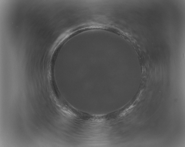 X0000060790247200511101426