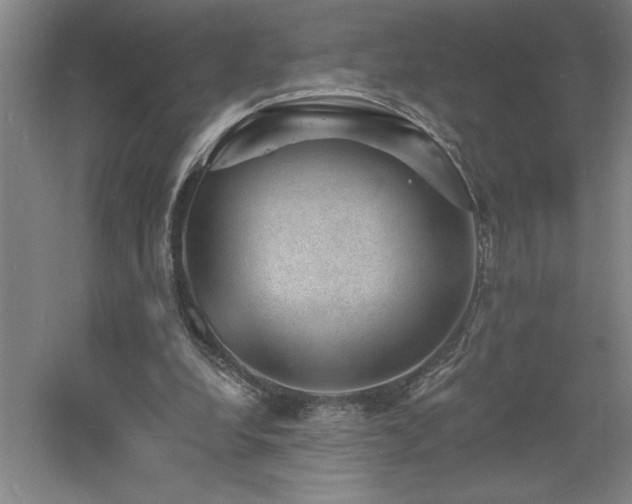 X0000060790248200511101426