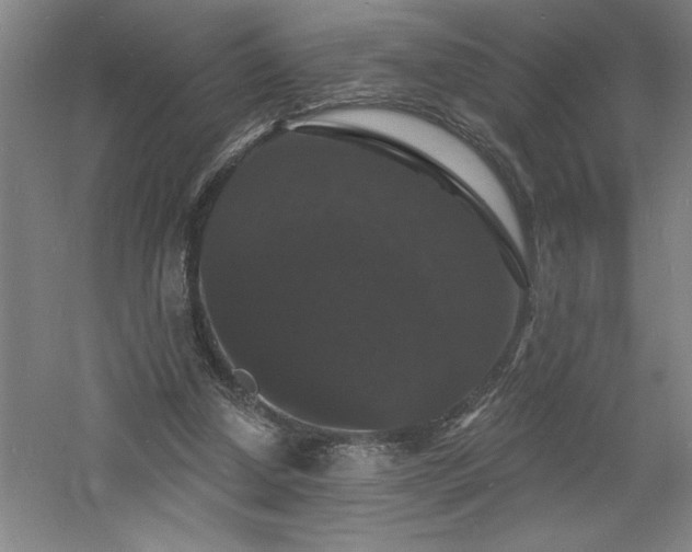 X0000060790250200511101426