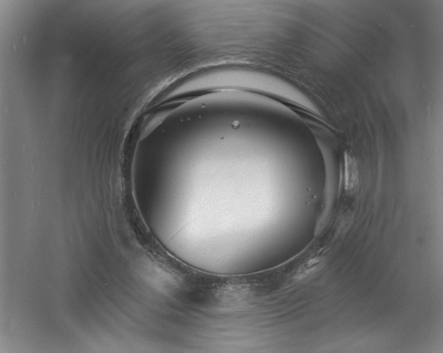 X0000060790252200511101426