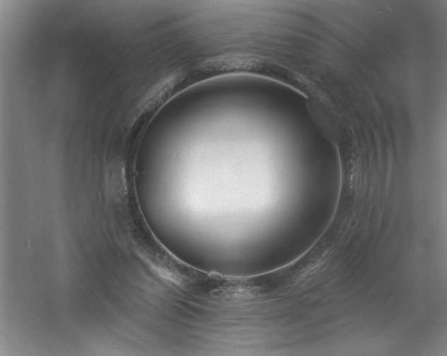 X0000060790254200511101426