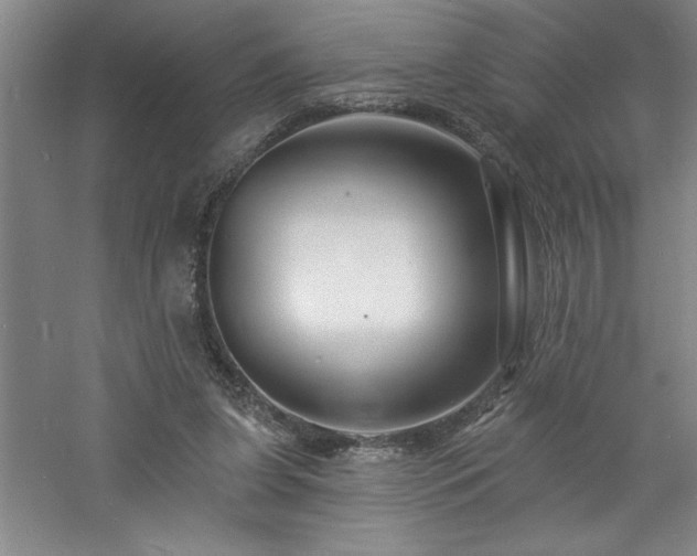 X0000060790255200511101426