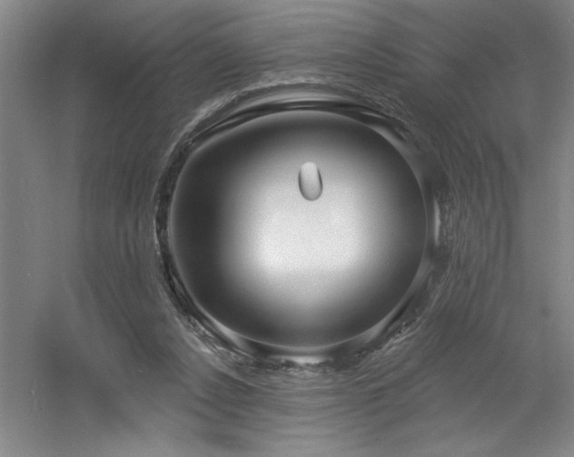 X0000060790256200511101426