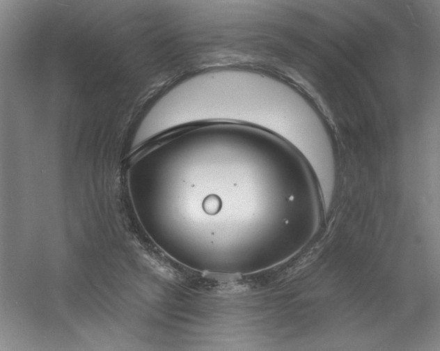 X0000060790257200511101426