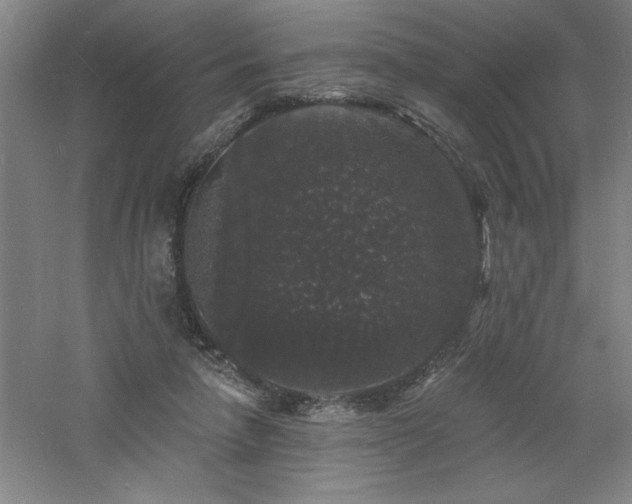 X0000060790258200511101426