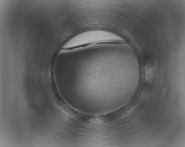 X0000060790259200511101426