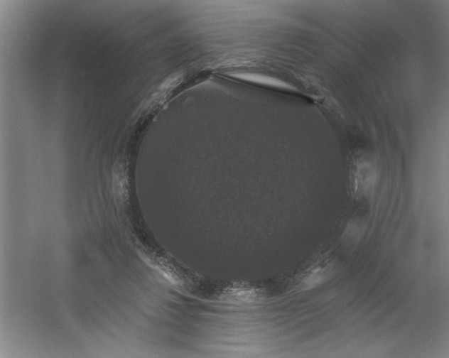 X0000060790260200511101426