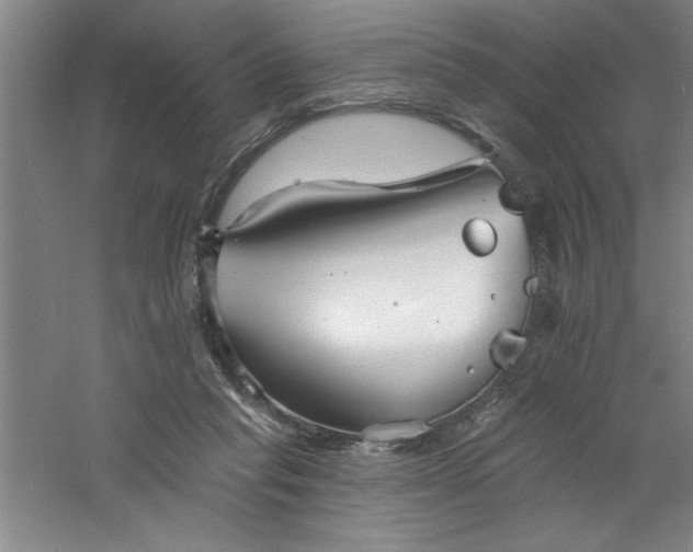 X0000060790261200511101426