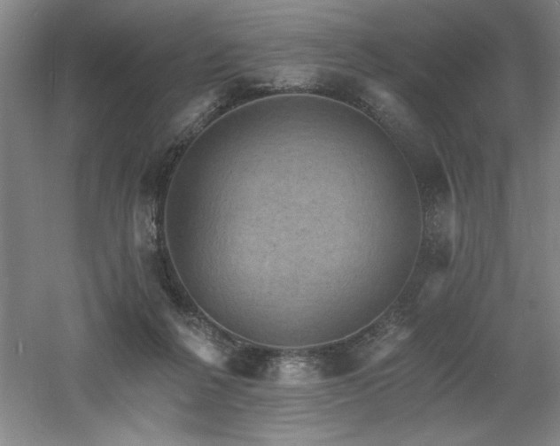 X0000060790264200511101426