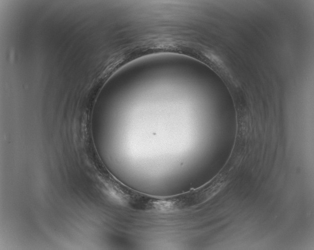 X0000060790265200511101426