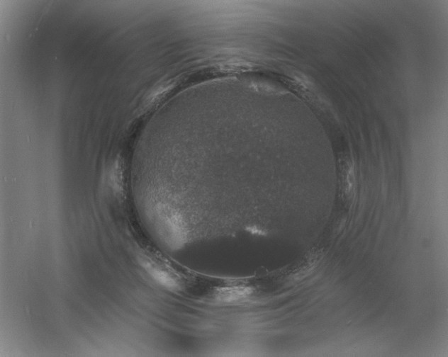 X0000060790266200511101426