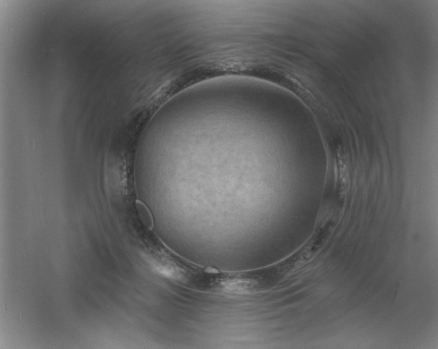 X0000060790268200511101426