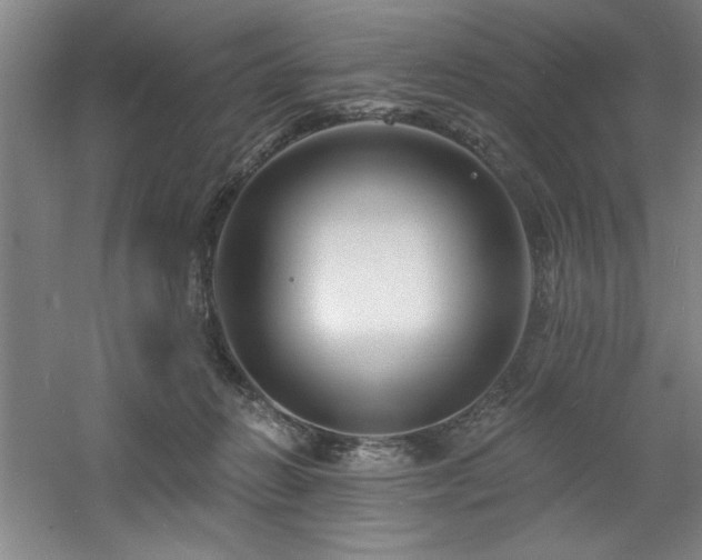 X0000060790270200511101426