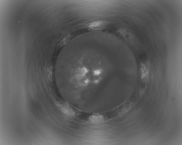 X0000060790271200511101426