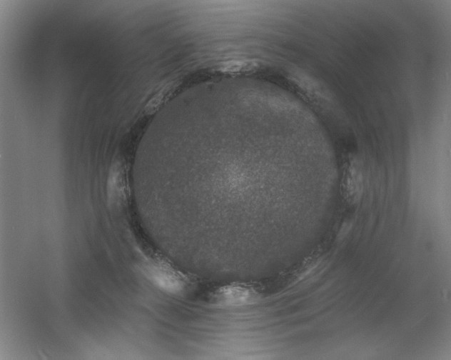 X0000060790272200511101426