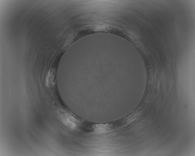 X0000060790273200511101426