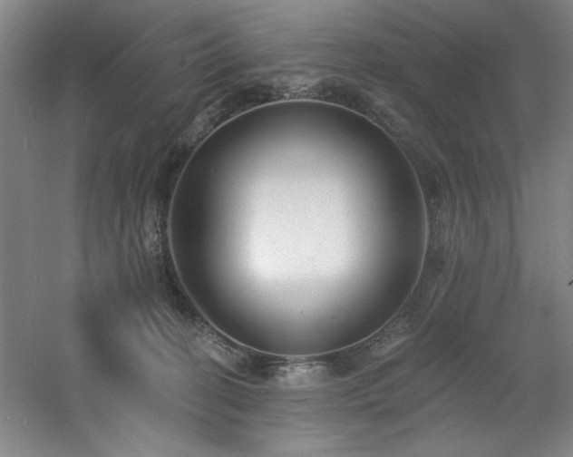 X0000060790274200511101426