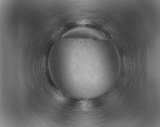 X0000060790275200511101426