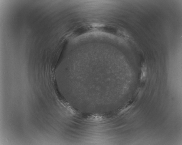 X0000060790276200511101426