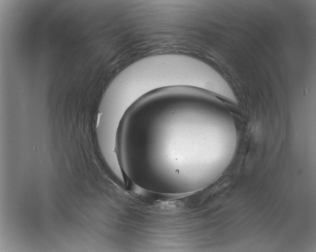 X0000060790277200511101426