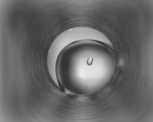 X0000060790278200511101426