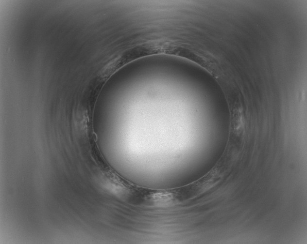 X0000060790279200511101426