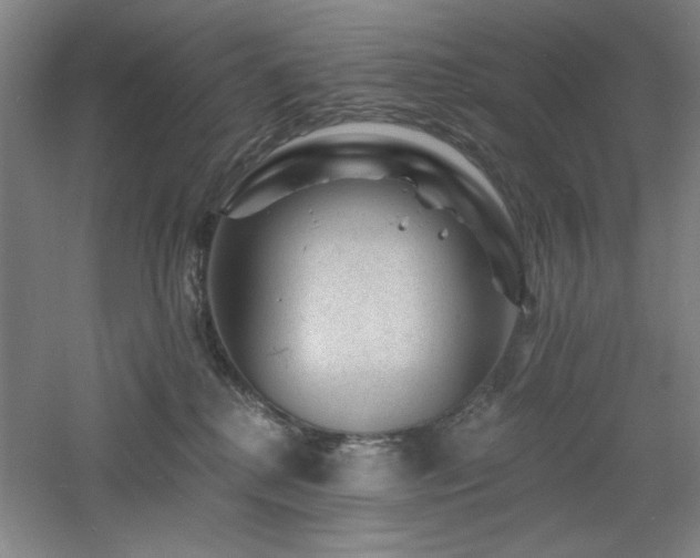 X0000060790280200511101426