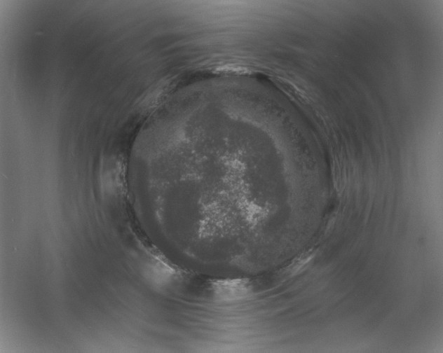 X0000060790281200511101426