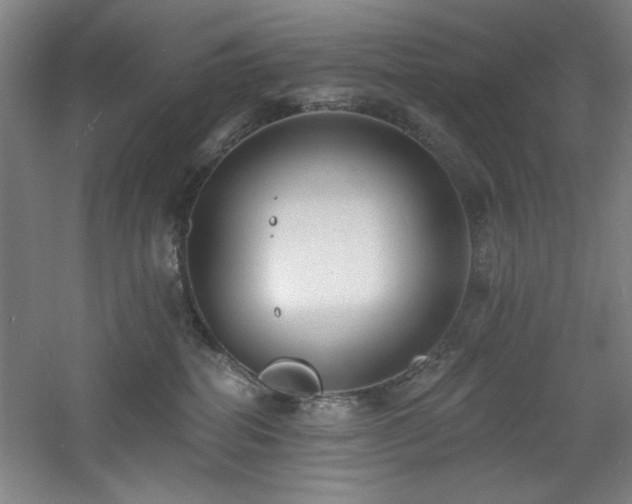 X0000060790282200511101426