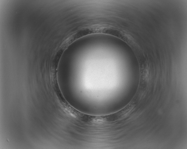 X0000060790283200511101426