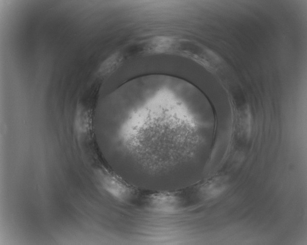 X0000060790284200511101426