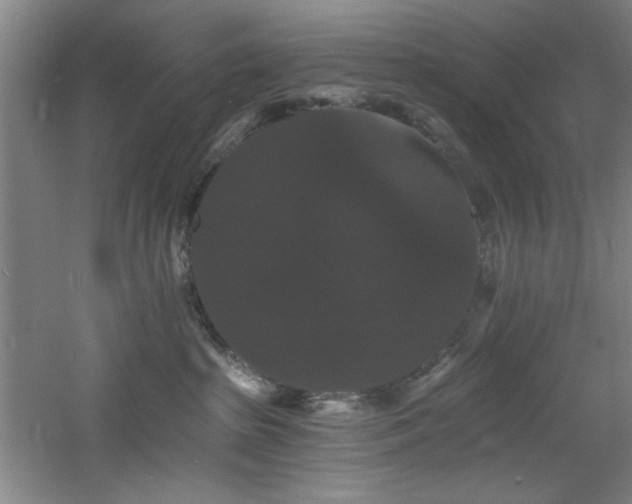 X0000060790285200511101426