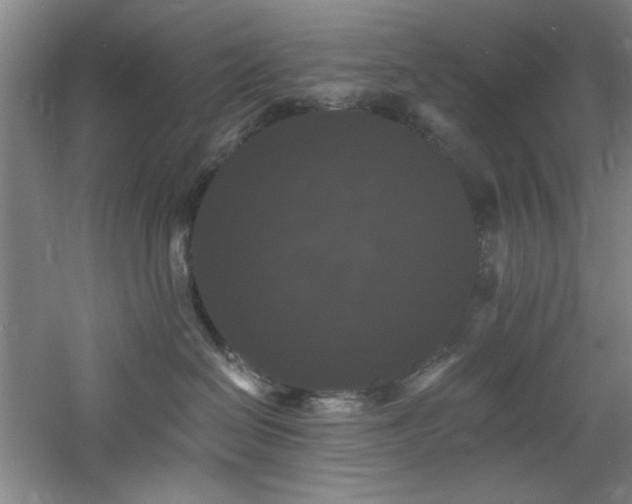 X0000060790286200511101426