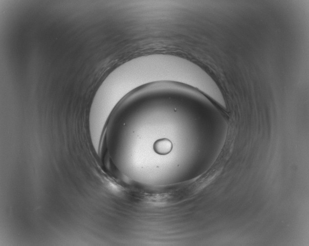 X0000060790288200511101427