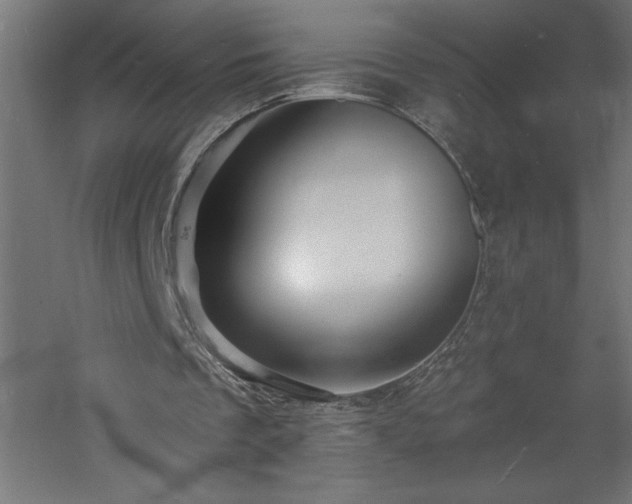 X0000060790289200511101426