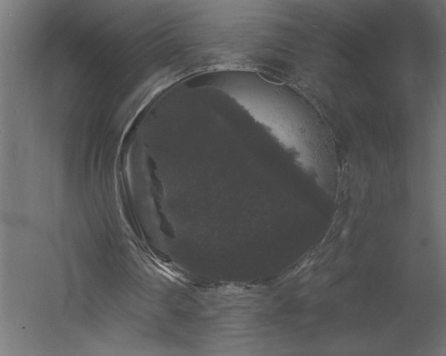 X0000060790290200511101426