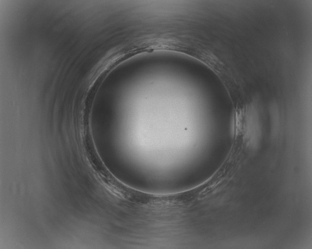 X0000060790291200511101426