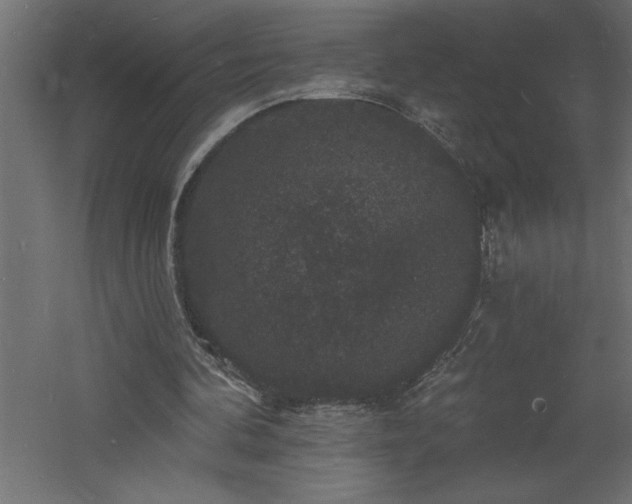 X0000060790292200511101426