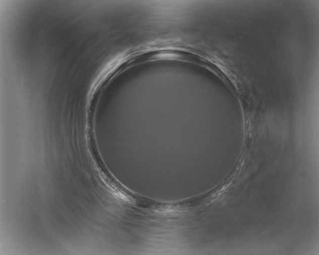 X0000060790293200511101426