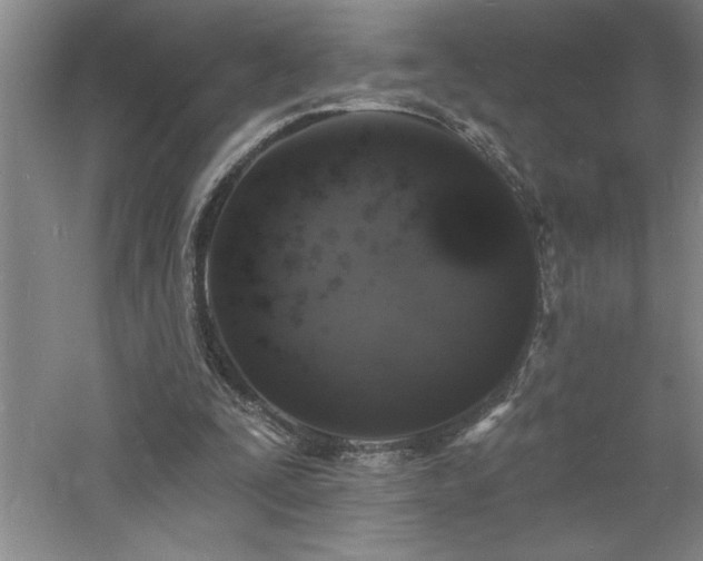 X0000060790295200511101426